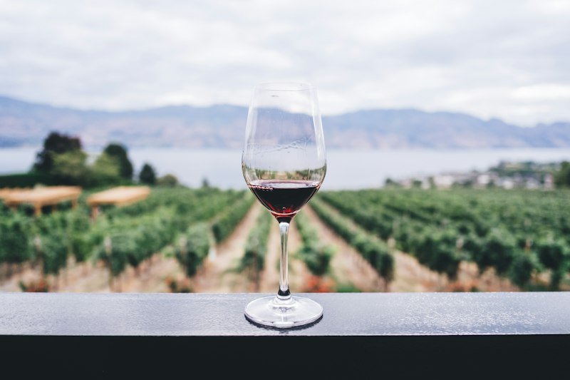 Urla Bağevi & Vineyard Hotel